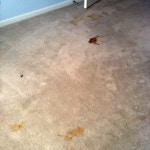 bedroom carpet stains after