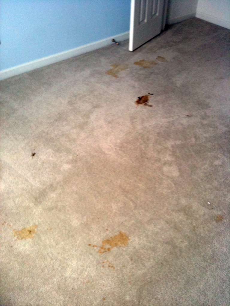 bedroom carpet stains after