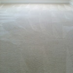 bedroom carpet stains after