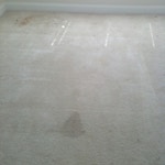 bedroom carpet stains before