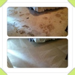 carpet-cleaning-before-and-after