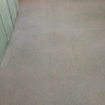 carpet cleaning results after