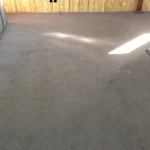 carpet cleaning results before