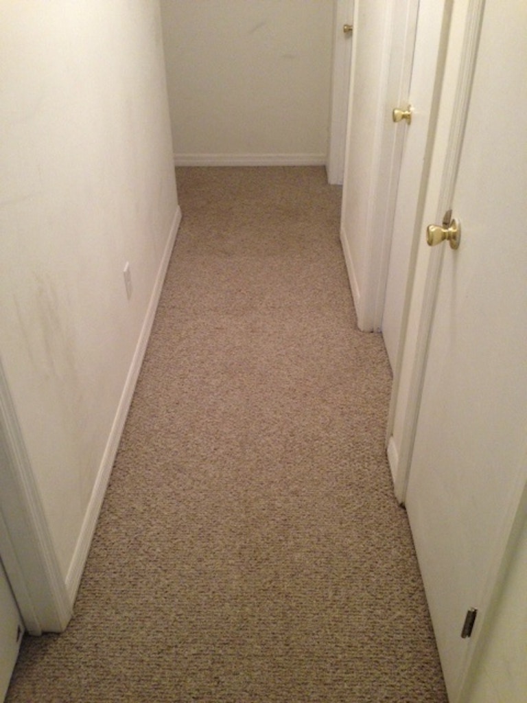 carpet cleaning results hallway after