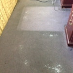 carpet cleaning results office before