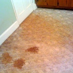 carpet stains before cleaning