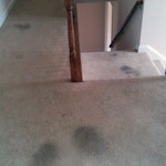 dark carpet stains before