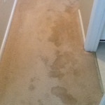 dirty hallway carpet cleaning before