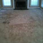 family-room-carpet-cleaning-01-before