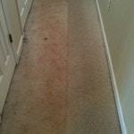 hallway-carpet-cleaning-before-after
