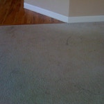 living room carpet before