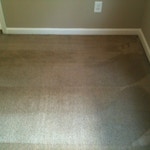 moldy carpet after cleaning