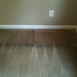 moldy carpet before cleaning