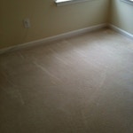 nasty carpet stains after