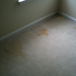 nasty carpet stains before