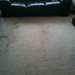 pet-stains-carpet-cleaning-01-before