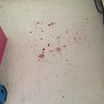 red-wine-stains-01-before