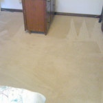 soiled carpet after