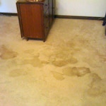 soiled carpet before