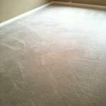 soiled carpets after