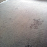 soiled carpets before