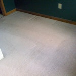 stained basement carpet after