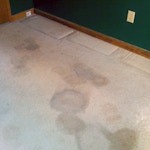 stained basement carpet before