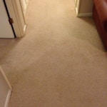 after-carpet-cleaning-1-athens-ga