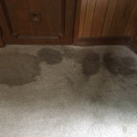 before-carpet-cleaning-athens-ga