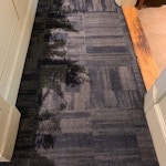 carpet-cleaning-hall-after-athens-ga