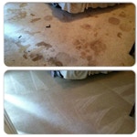 carpet-stain-removal-athens-ga