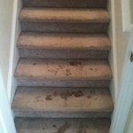 stairs-carpet-cleaning-01-before