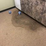 water-stain-before-carpet-cleaning-athens-ga