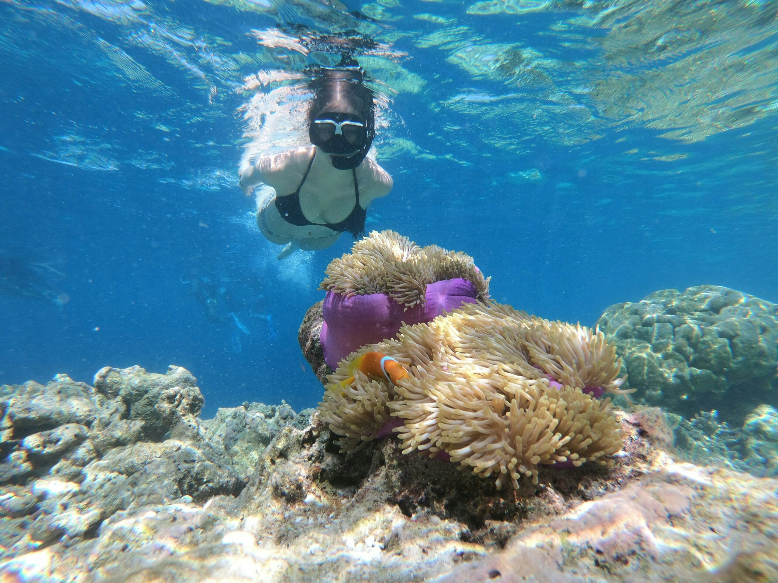 Snorkeling Spots - Boat Charters St Thomas