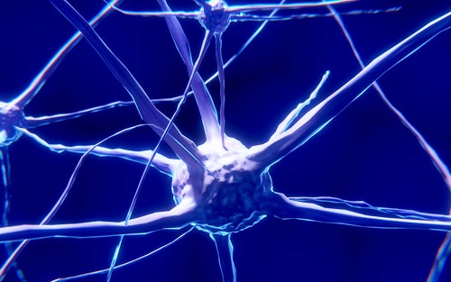 Alzheimers disease brain nerve cell deterioration