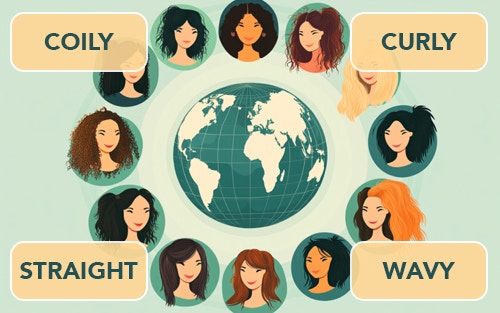 assortment of different hair types