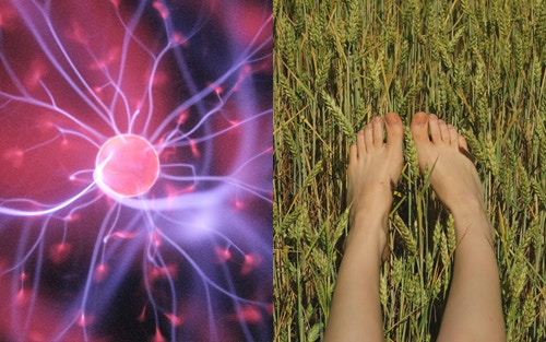 research studies of grounding and its effects