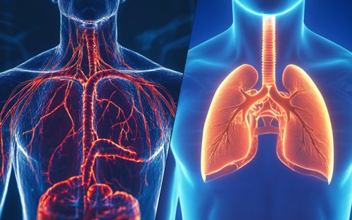 health benefits of saunas and steam rooms - skin health and circulation