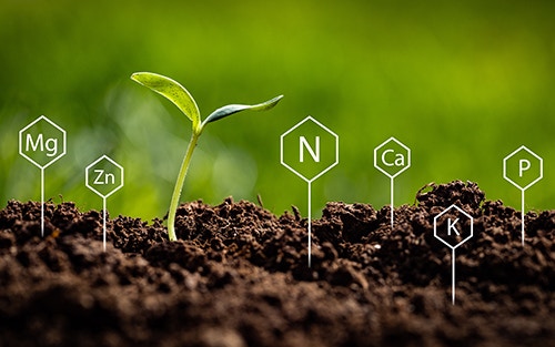 minerals from earth soil and water